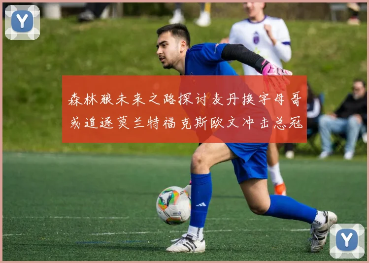 森林狼未来之路探讨麦丹换字母哥或追逐莫兰特福克斯欧文冲击总冠军